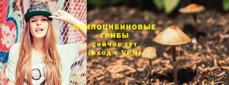 Галлюциногенные грибы MAGIC MUSHROOMS  хочу наркоту  Саранск 